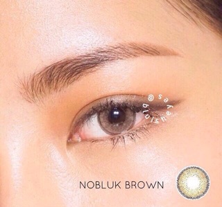 Lens tây Nobluk brown