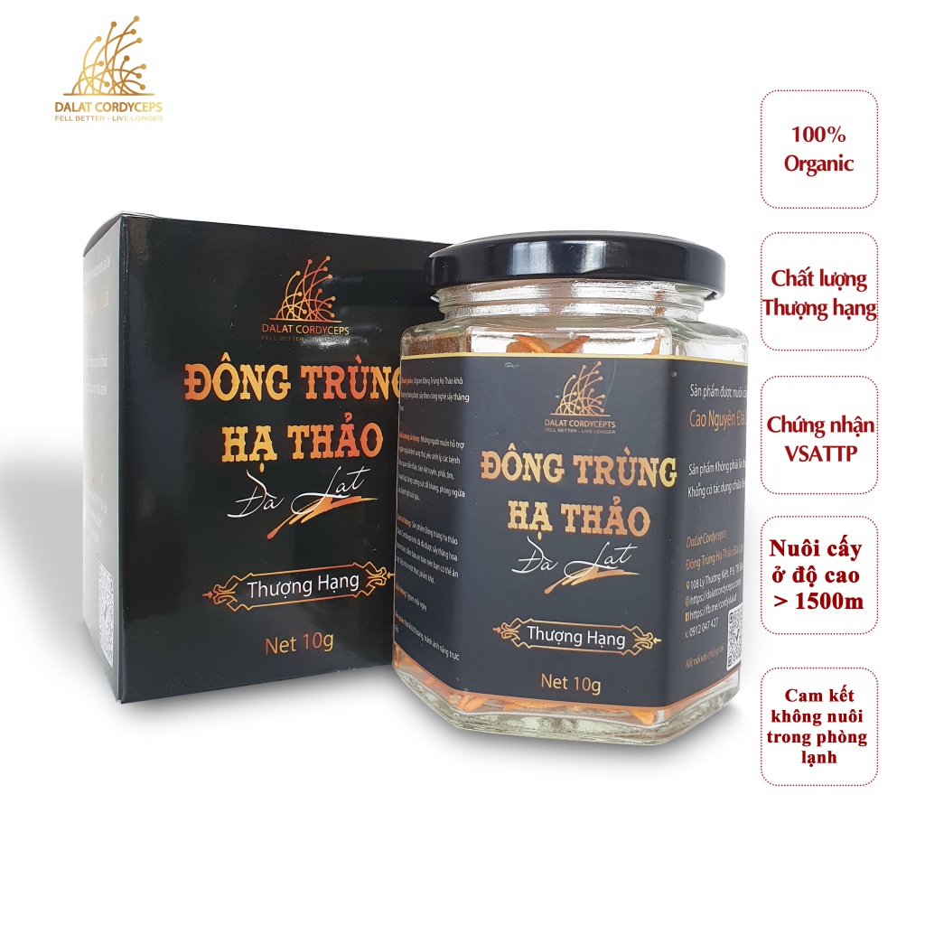 Nấm Đông Trùng Hạ Thảo Khô Sấy Thăng Hoa (10gr) - Nuôi Trồng 100% Organic Tại Cao Nguyên Đà Lạt