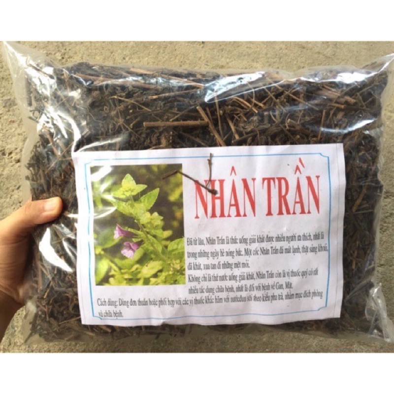 1 kg nhân Trần khô, thanh mát cơ thể