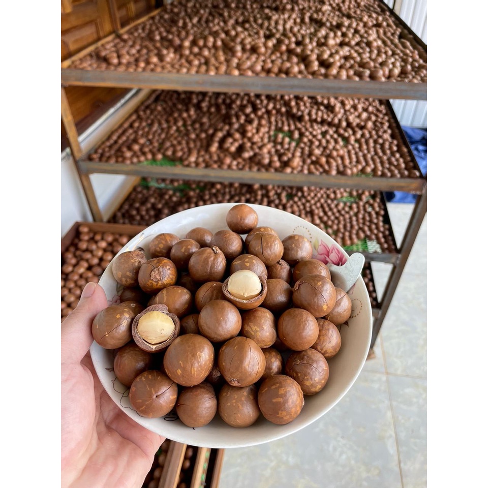 500gram Hạt Macca Nứt Vỏ, Hạt Dinh Dưỡng Size Trung