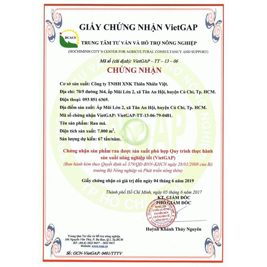 Bột Nha Đam Hàng Handmade