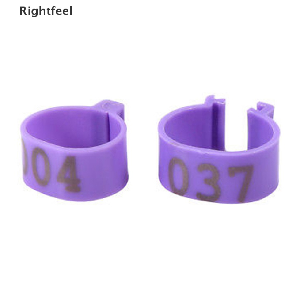 (MớI) Bộ 100 VòNg Đeo Chân Cho Gà / VịT Cỡ LớN 16mm