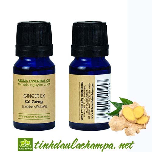 Tinh dầu Gừng champa ,Tinh Dầu La champa Ginger Oil.