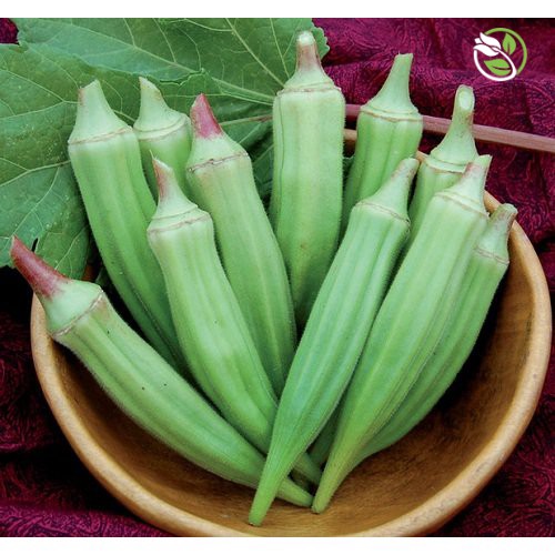 Hạt Giống Đậu Bắp Năm Cạnh Trái Trắng Cây Lùn Phú Nông - Gói 10g - Okra