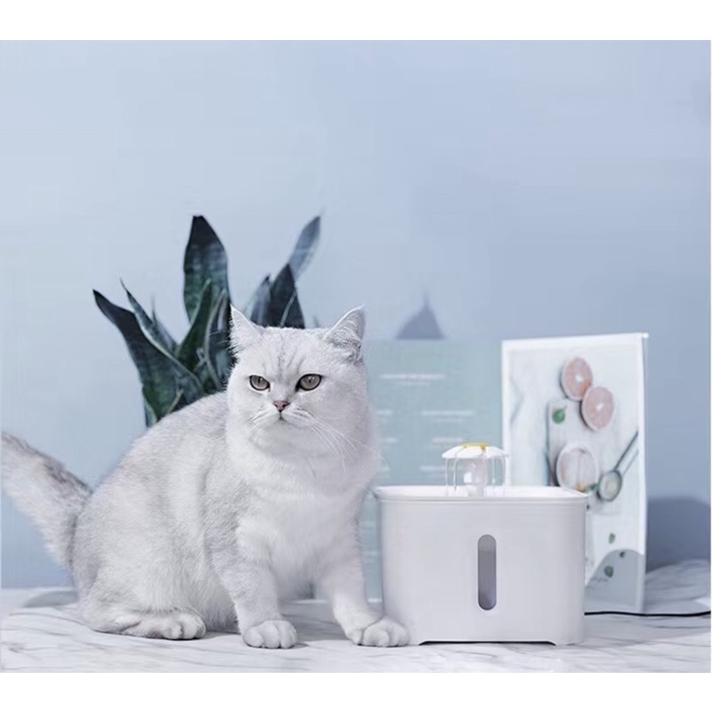 [CÓ LED]Máy Uống Nước Tự Động Cho Chó Mèo Kèm Lõi Lọc Than Hoạt Tính Máy Lọc Nước Tự  Động Dành Cho Thú Cưng