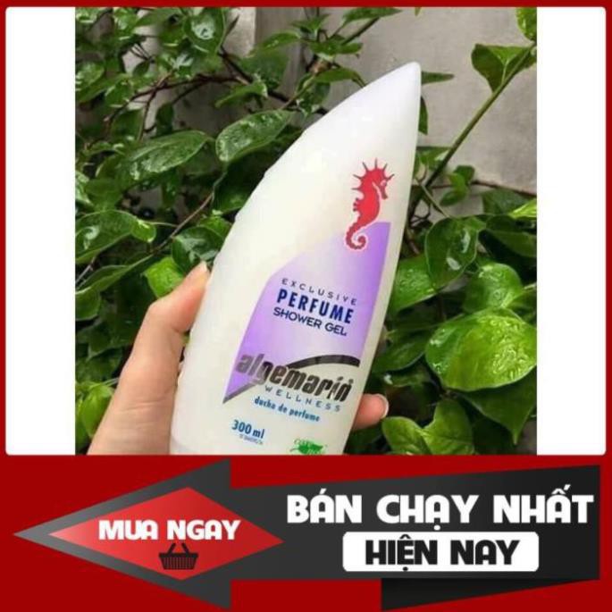 Sữa Tắm Cá Ngựa Cao Cấp Hương Hoa Hồng Giữ Ẫm Hương Thơm Cực Lâu - làm đẹp cho làn da và vệ sinh cơ thể | BigBuy360 - bigbuy360.vn