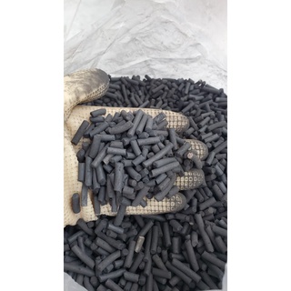 Than hoạt tính lọc nước hồ cá [100gr]