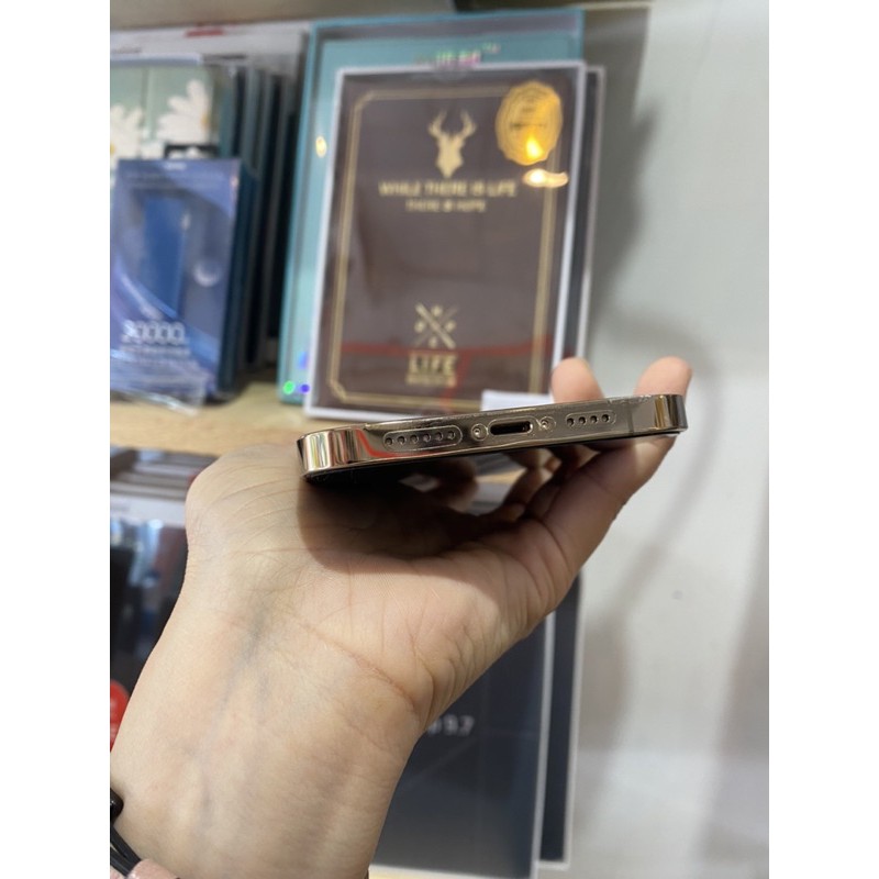 Dán mặt sau full viền Ip12 promax ppf 4 lớp