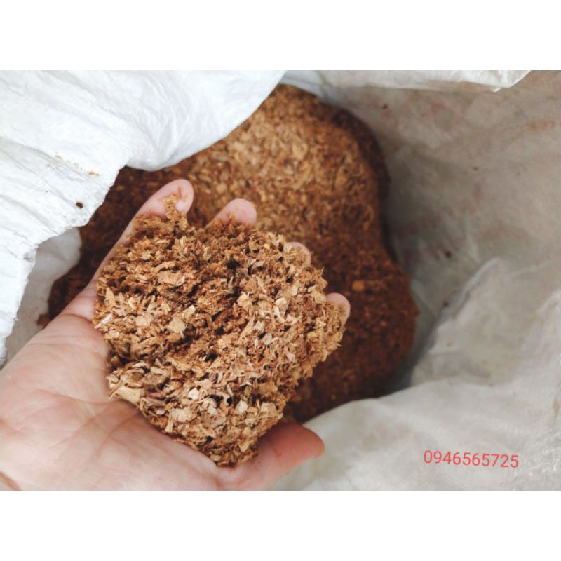 1kg vụn gỗ bách nguyên chất xông nhà, làm hương, làm gối... thơm ngát | BigBuy360 - bigbuy360.vn