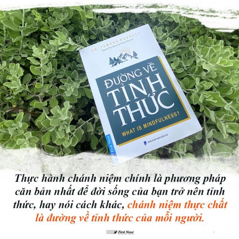 Sách Combo Thức tỉnh điều vô hình + Đường về tỉnh thức - FirstNews