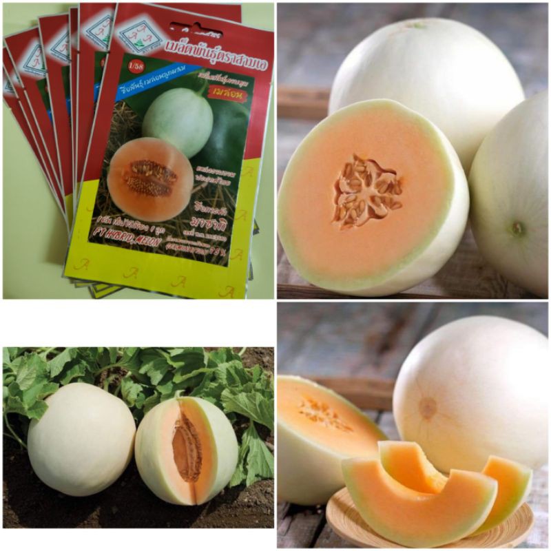 Hạt giống dưa lê cẩm ngọc ruột đỏ F1 Thái Lan (12 hạt)