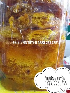 Mật ong rừng kbang