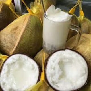 Dừa sáp Cầu Kè loại đặc biệt