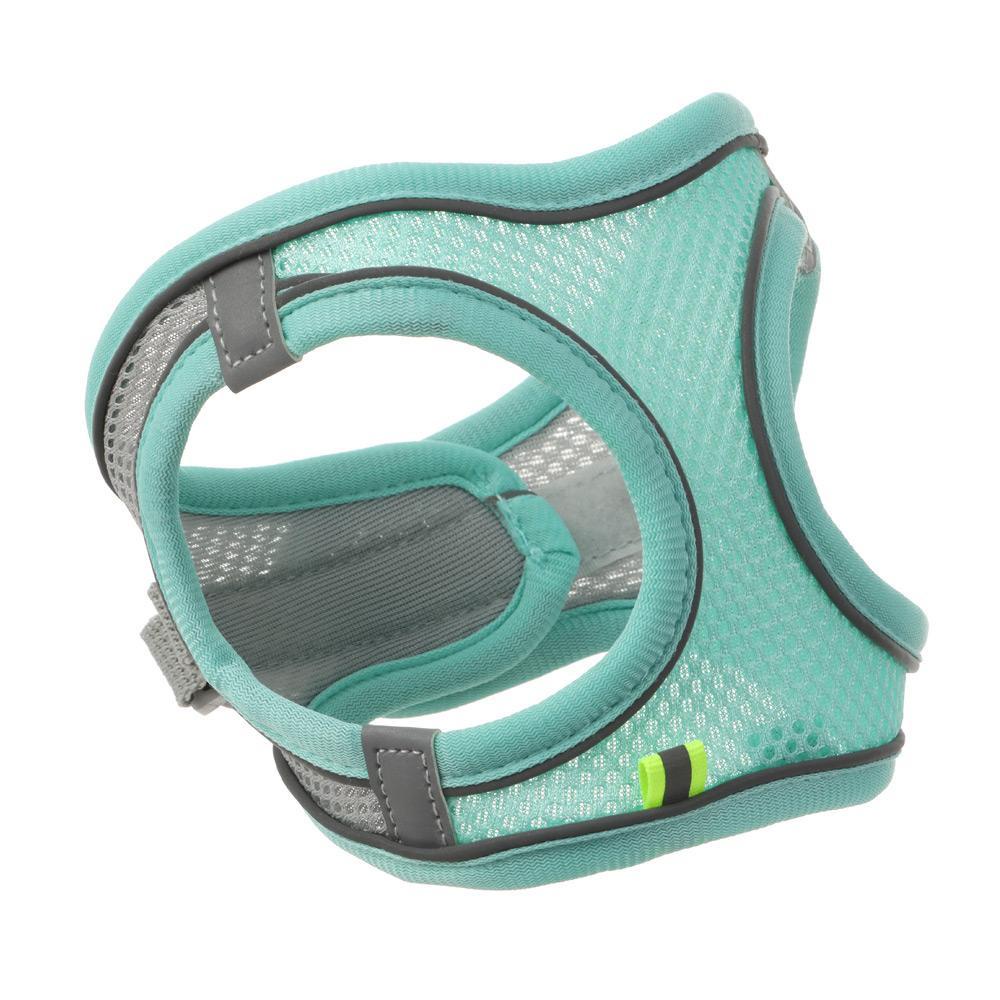 Dây Dắt Chó Chihuahua Phản Quang Tiện Dụng