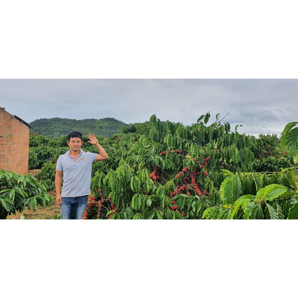 Cà Phê Núi Lu x1 (500gr) | BigBuy360 - bigbuy360.vn