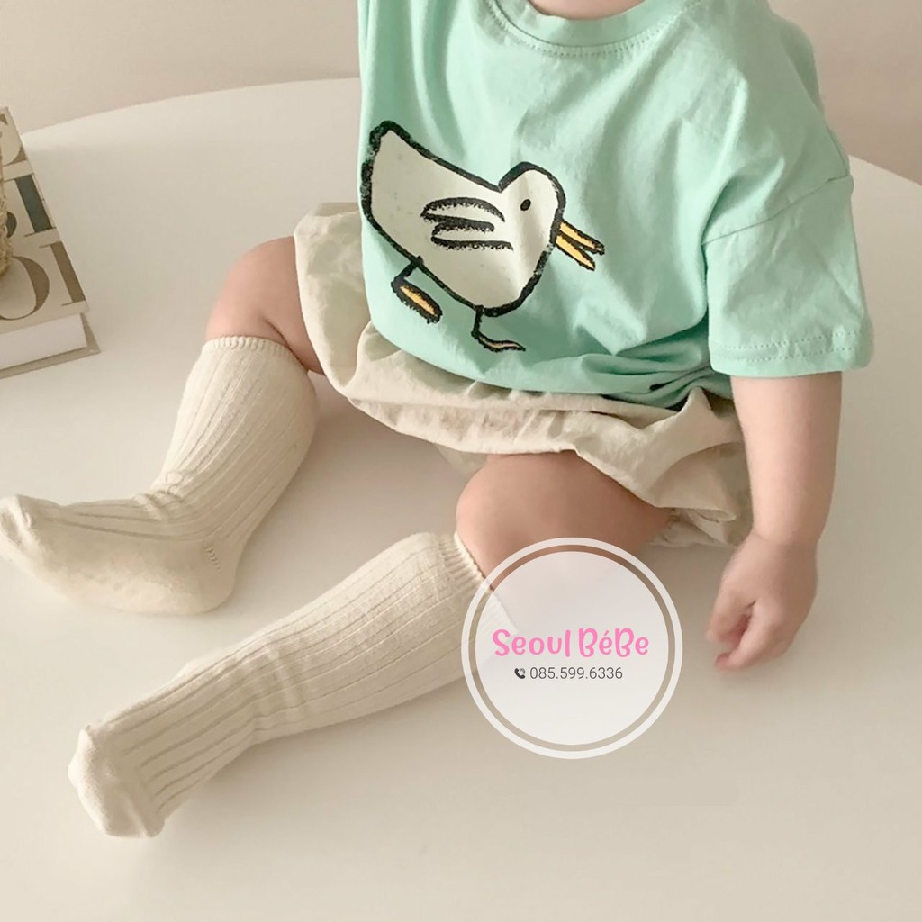 Áo phông cộc cổ tròn họa tiệt chú chim co giãn 4 chiều cho bé, chất mát, mịn DUCK BLACKBEAN, made in Korea