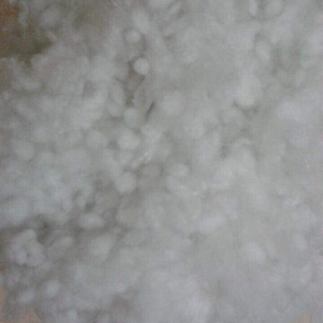 Bông hạt nhồi thú 15k/200g