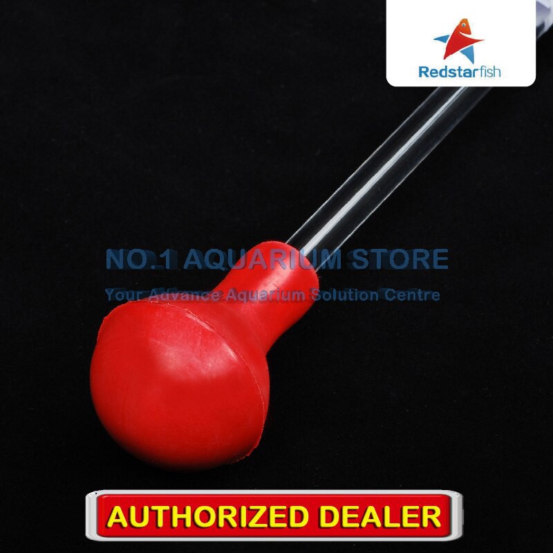 Ống cho san hô ăn Red Starfish trong hồ cá cảnh biển 60cm