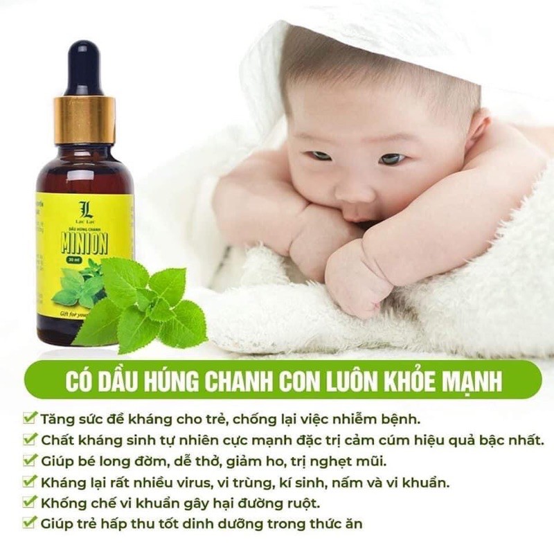 Dầu húng chanh minion