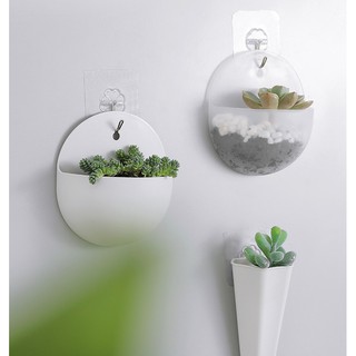 Chậu cây thủy sinh tròn treo tường mini gắn tường trang trí