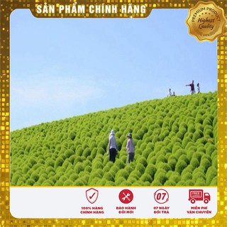 Hạt Giống Cỏ Đổi Màu Nhật Bản 50 hạt