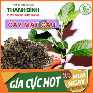 Gói 500Gr Cây Mật Gấu Khô Cao Cấp - Loại 1