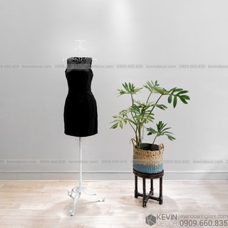 Manocanh Sắt Nữ