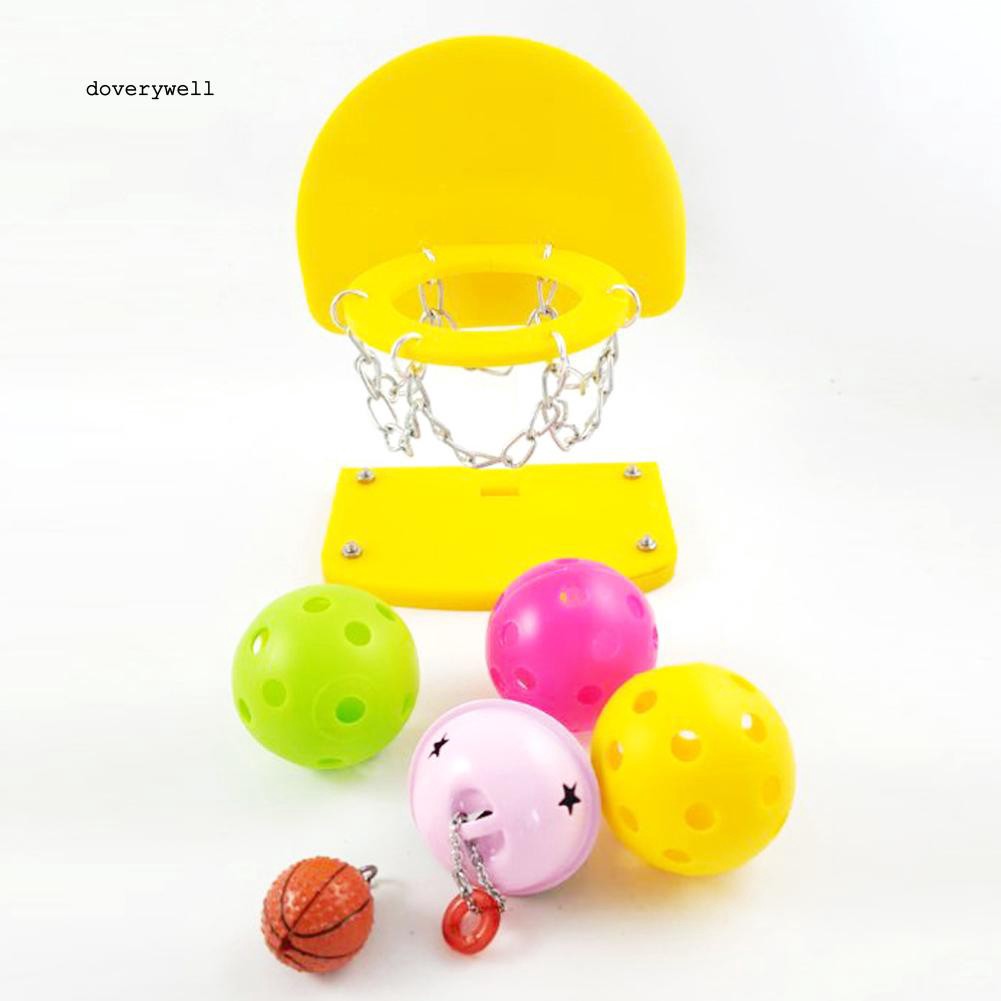 Đồ chơi bóng rổ mini cho vẹt
