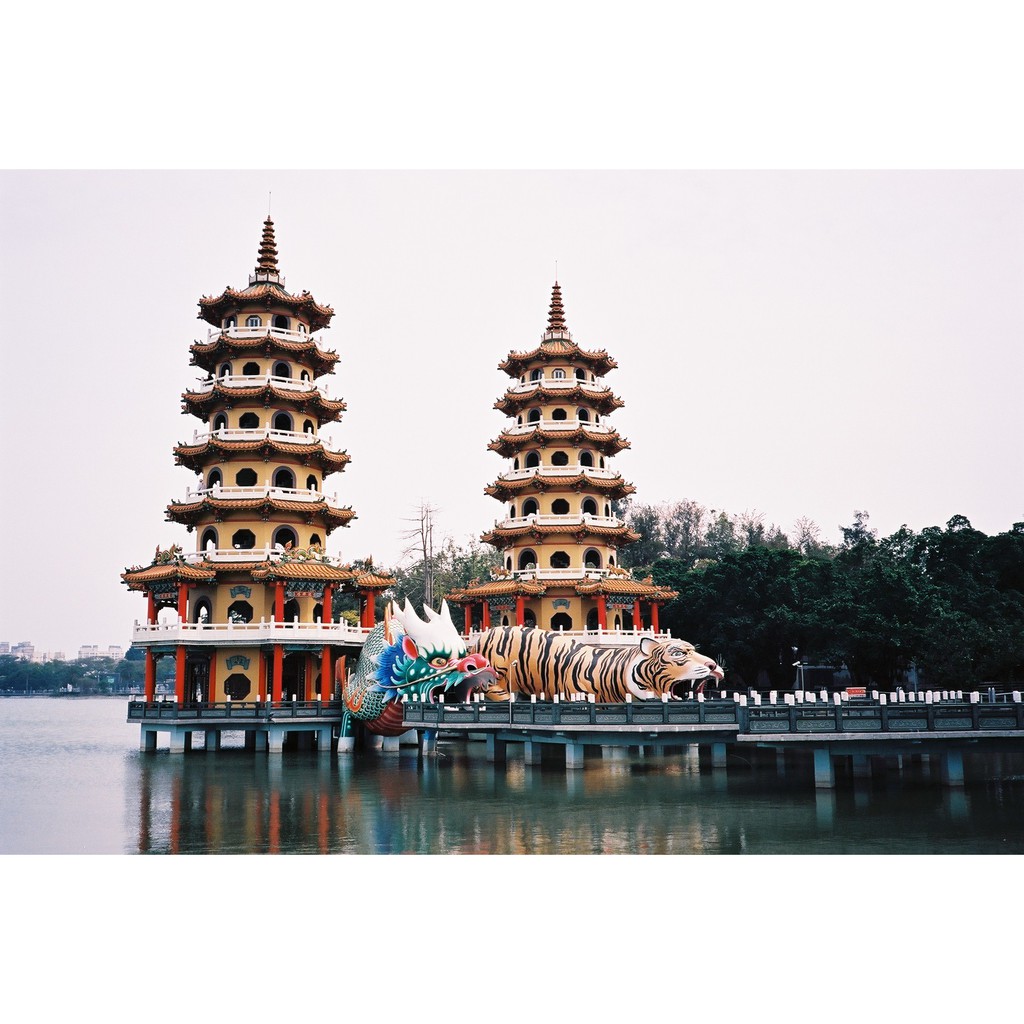 Film máy ảnh Kodak Ektar 100 Indate 05/2025