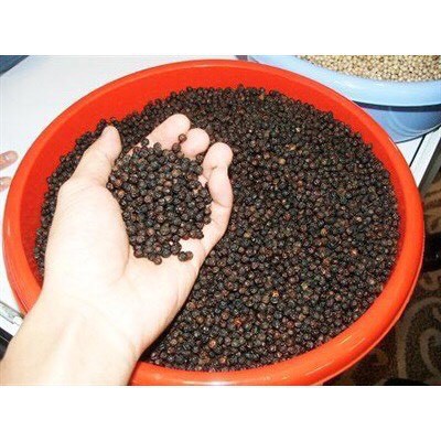 Tiêu đen nguyên hạt mới