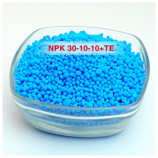 Phân bón NPK 30-10-10+Bo+TE I RubyFerti (1kg)