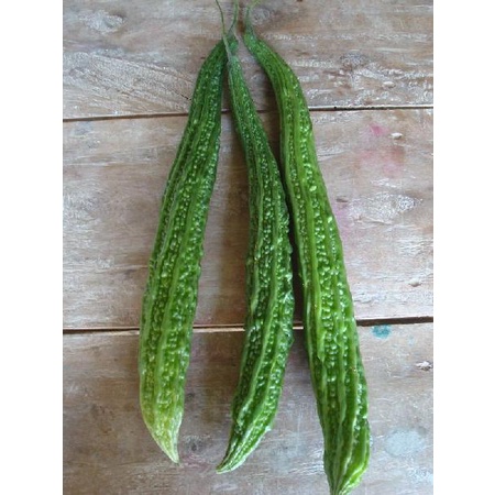 Hạt Giống Mướp Đắng Siêu Dài Nhập Khẩu Nguyên Bao Bì Thái Lan - 2gram - Nảy 95%