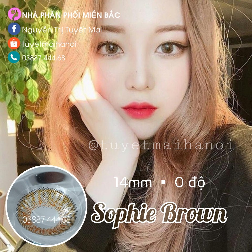 Lens Nâu Tây Sophie Brown 14mm 0 Độ - Kính Áp Tròng Hàn Quốc Chính Hãng Vassen Sexy Me