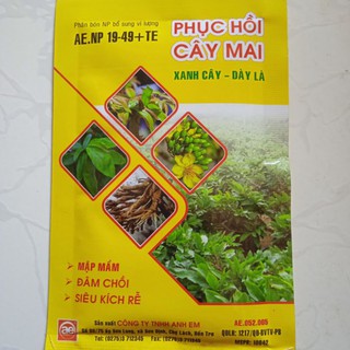 Phân bón phục hồi cây mai vàng kích rễ cực mạnh đâm chồi mập mầm xanh lá tàn nhánh xum xuê