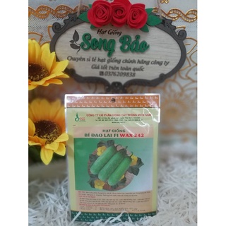 Hạt Giống bí đao lai F1 Wax 242 (SSC Miền Nam) Gói 2g