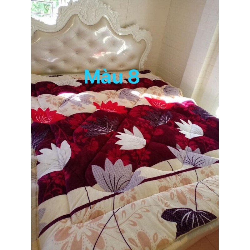 [GIÁ HỦY DIỆT] CHĂN LÔNG CỪU GIÁ CHỈ 189k | BigBuy360 - bigbuy360.vn