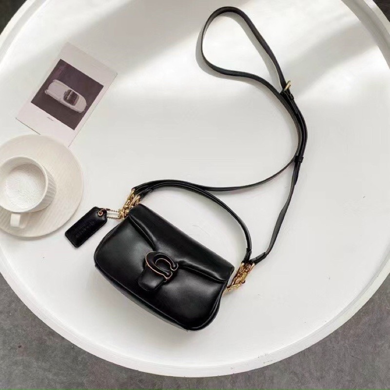 Túi Co ach pillow tabby