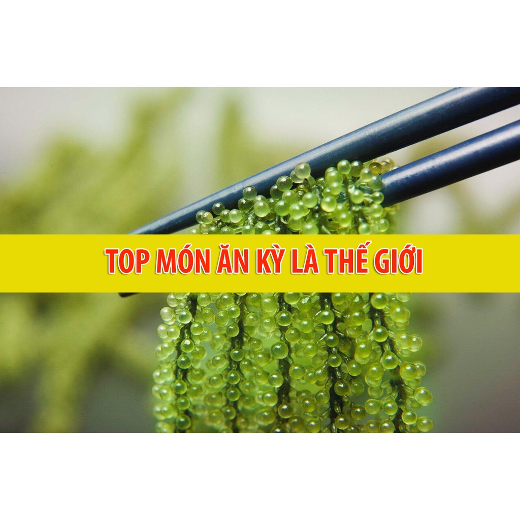 525g - 0,525 kg rong tươi tách nước nở ra 1,5 kg rong tươi chỉ với 125k | BigBuy360 - bigbuy360.vn