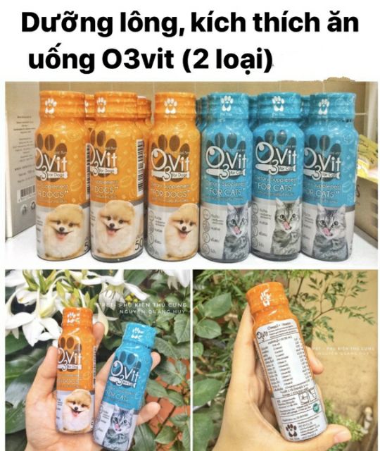 Siro O3Vit dinh dưỡng trị biếng ăn cho chó mèo