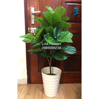 Set cây bàng Sing giả loại 1m cao cấp kèm chậu và xốp (hàng y hình - ảnh thật) - Cây giả