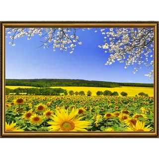 Tranh dán tường 3D VTC cánh đồng hướng dương TN0200K Kim sa
