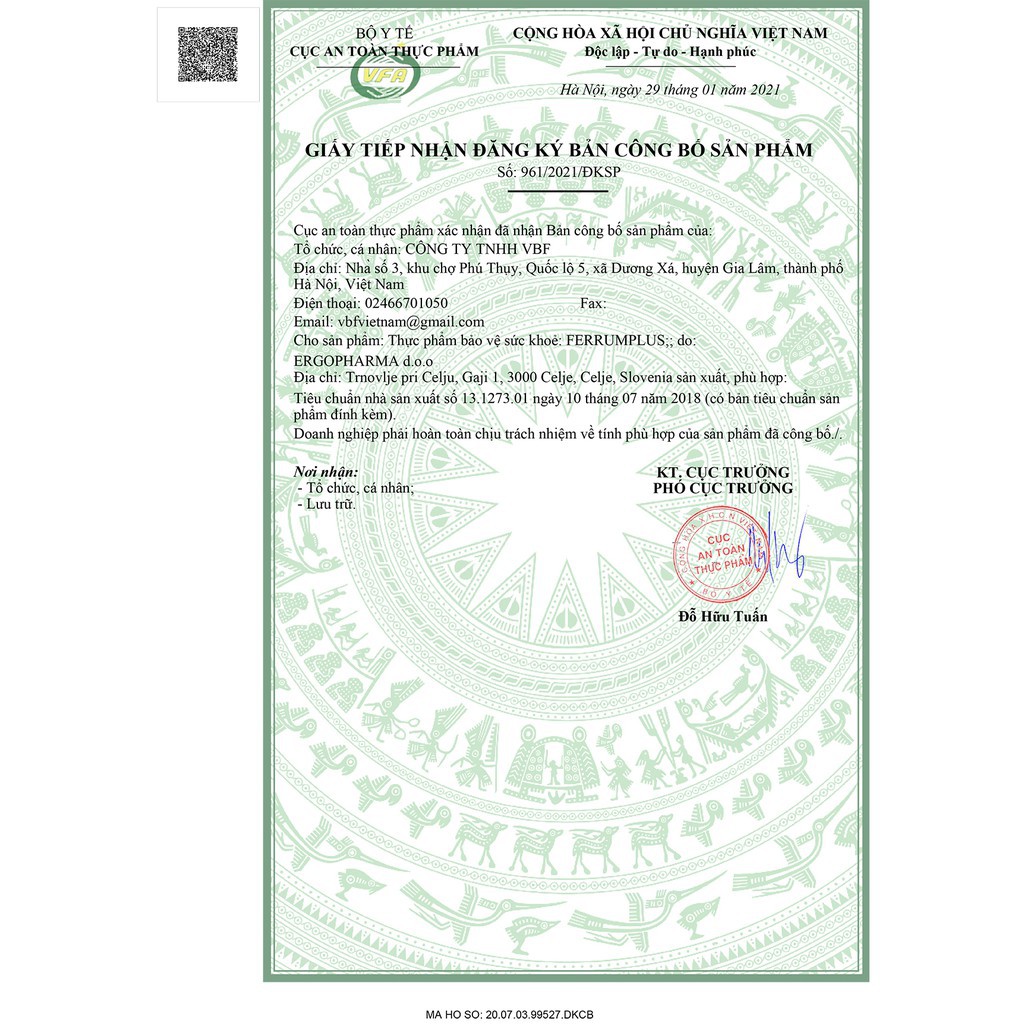 Sắt bầu không tanh không táo bón Ferrumplus - Lọ và vỉ