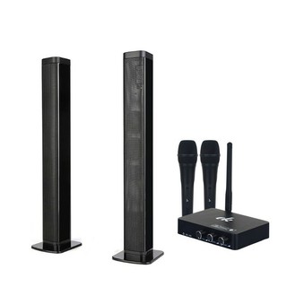 Bộ loa karaoke UHF SK30 kèm 2 micro không dây