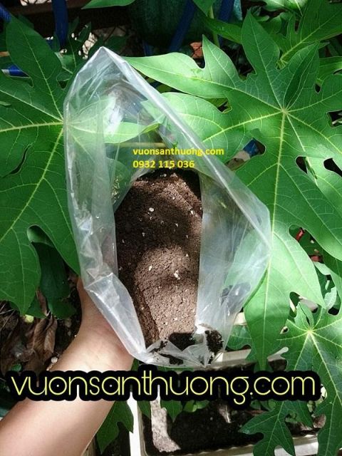Phân Mùn Compost  Cải Tạo Màu Mỡ, Tạo Mùn Cho Đất