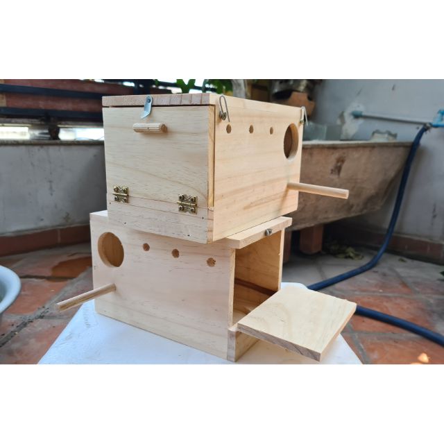 1 TỔ COCKATEIL, NGỰC HỒNG, GREEN CHECK (30 20 20)