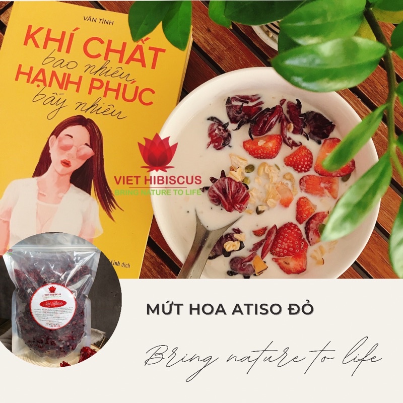 Mứt Atiso đỏ giòn [1kg] ăn kèm trà trái cây - sữa chua cực đã