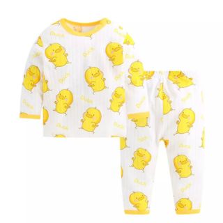 Bộ cotton giấy qc