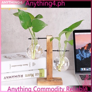 Bình thủy tinh trồng cây / hoa phong cách vintage dễ thương
