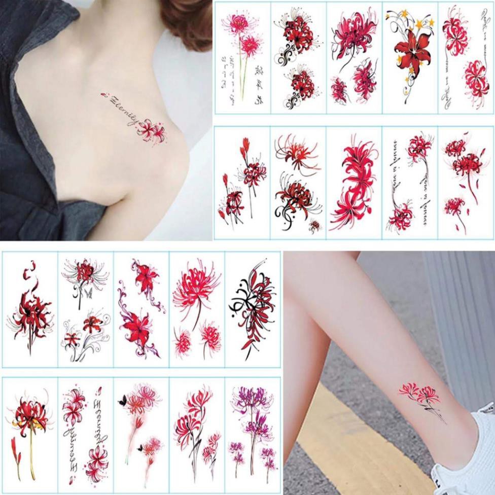 !!  Hình săm dán mẫu hoa bỉ ngạn