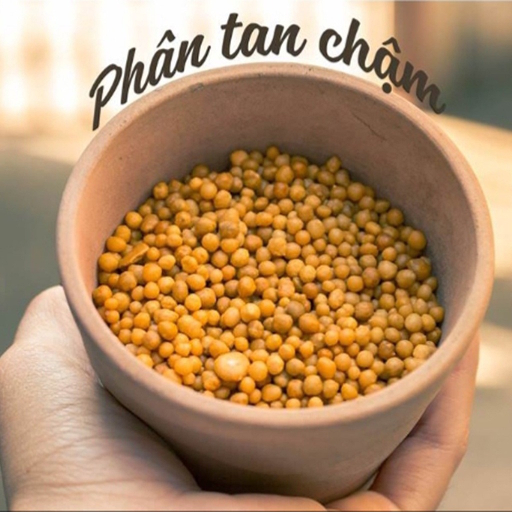 Phân tan chậm hạt vàng NPK 14-14-14 Thái Lan 50gr